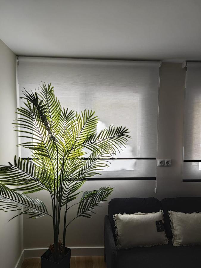 Studio Sevilla Suites Málaga Esterno foto